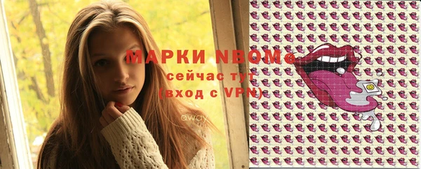 дмт Лабытнанги