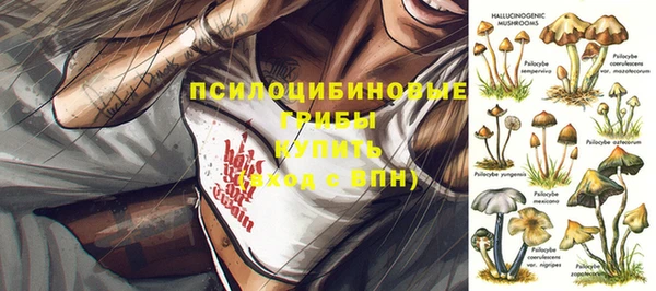 наркотики Краснослободск