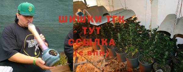 дмт Лабытнанги