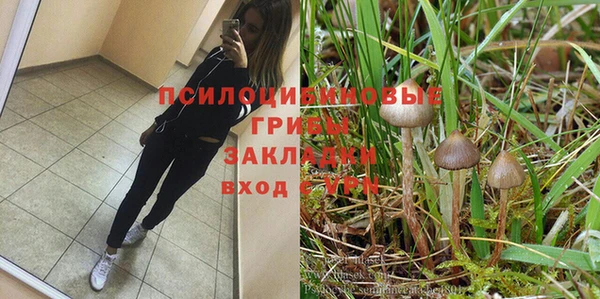 дмт Лабытнанги