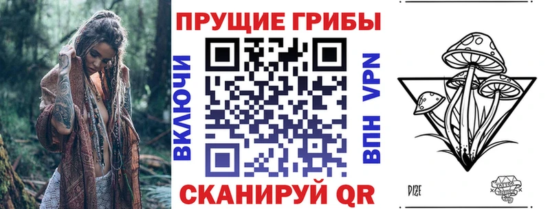 Галлюциногенные грибы GOLDEN TEACHER  закладка  Спас-Клепики 